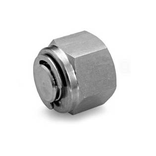 Tapón de Tubo Ham-let 7121L-SS